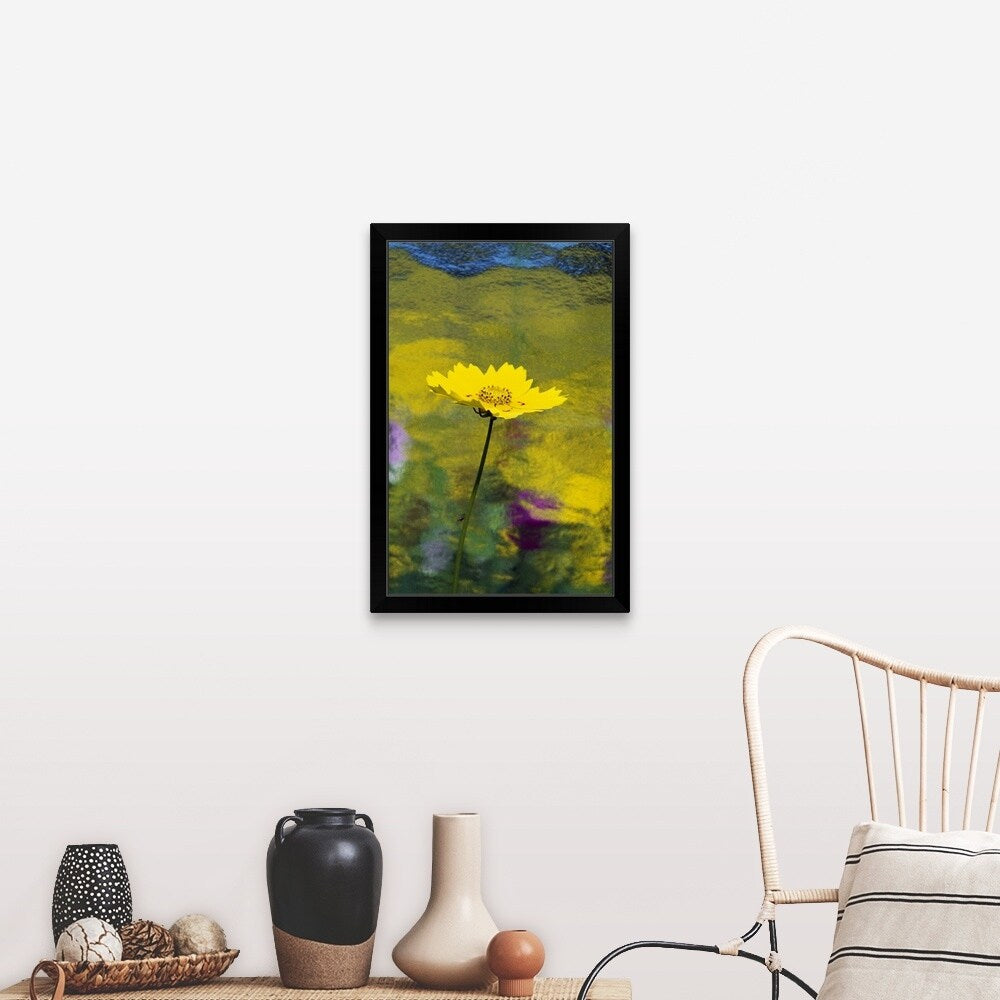 "Yellow Flower In Bloom" Black Framed Print