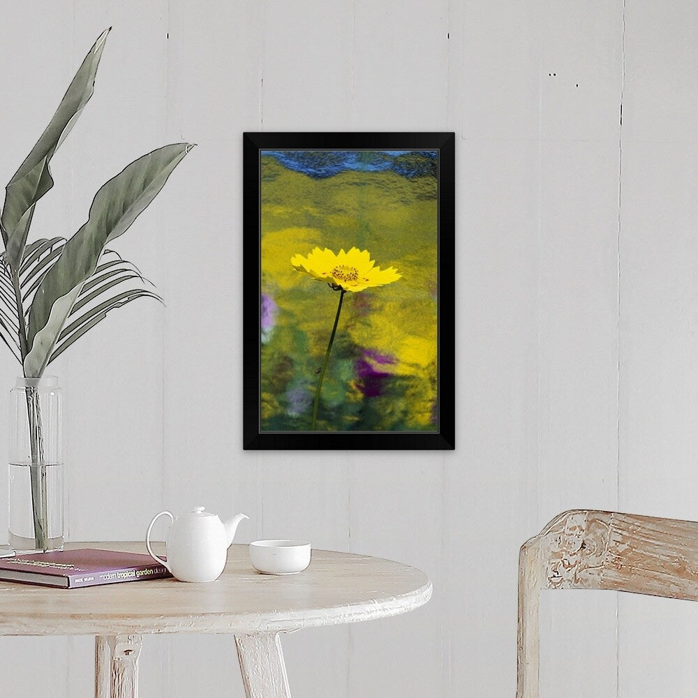 "Yellow Flower In Bloom" Black Framed Print