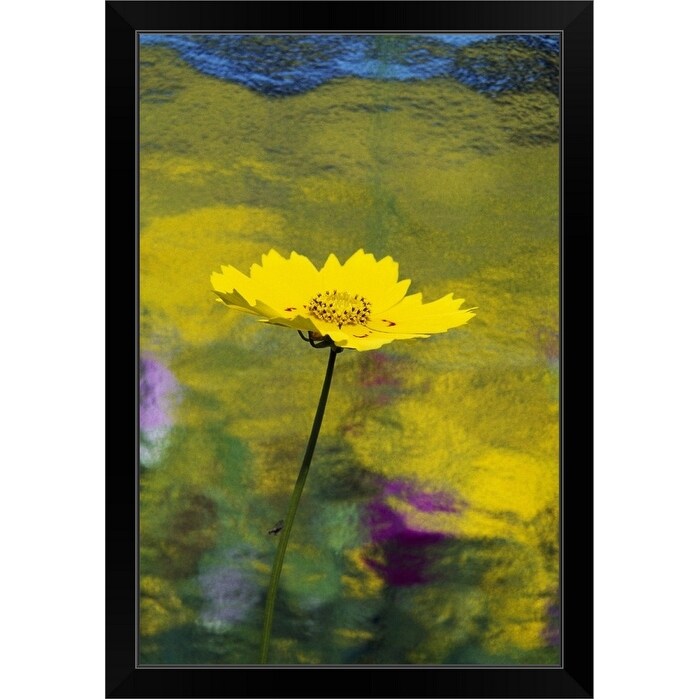 "Yellow Flower In Bloom" Black Framed Print
