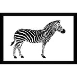 "Zebra (Horizontal)" Print on Acrylic