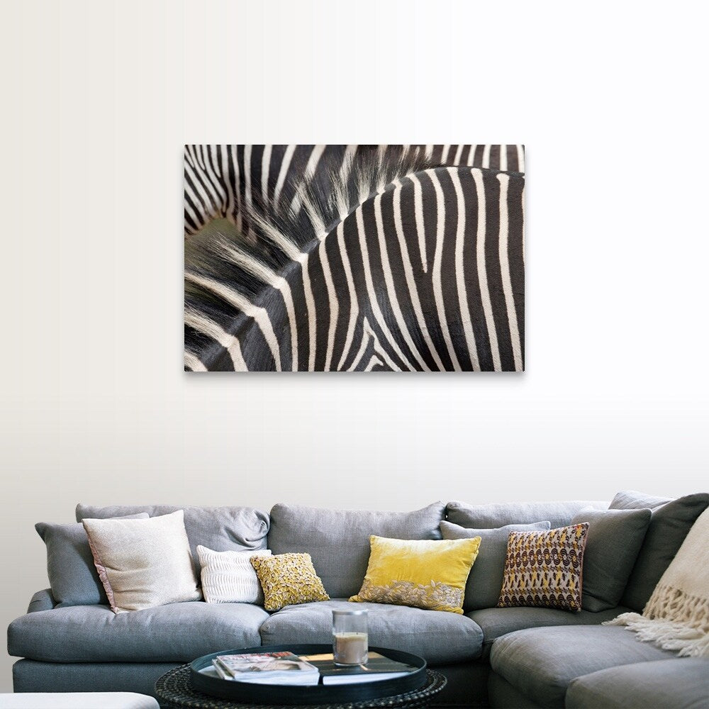 "Zebras" Canvas Wall Art