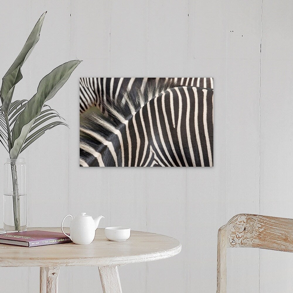 "Zebras" Canvas Wall Art