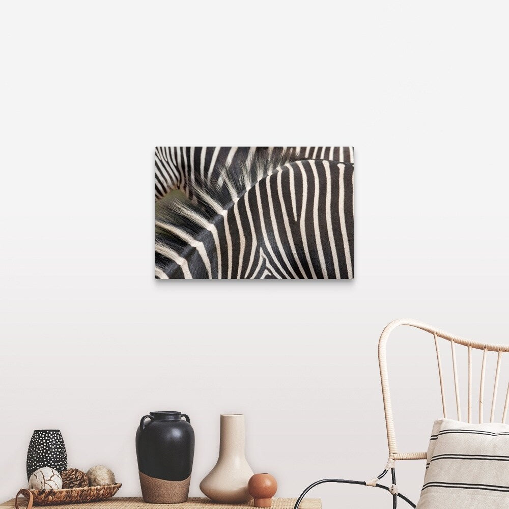 "Zebras" Canvas Wall Art