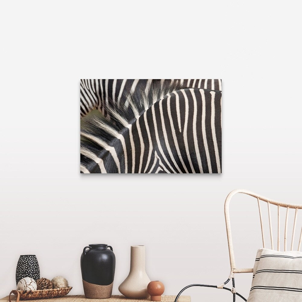 "Zebras" Canvas Wall Art