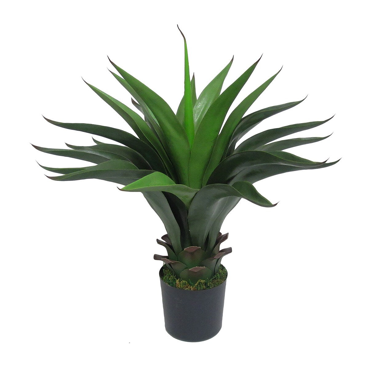 22in Artificial Agave Aloe Succulent Plant in Black Pot - 22" H x 25" W x 22" DP