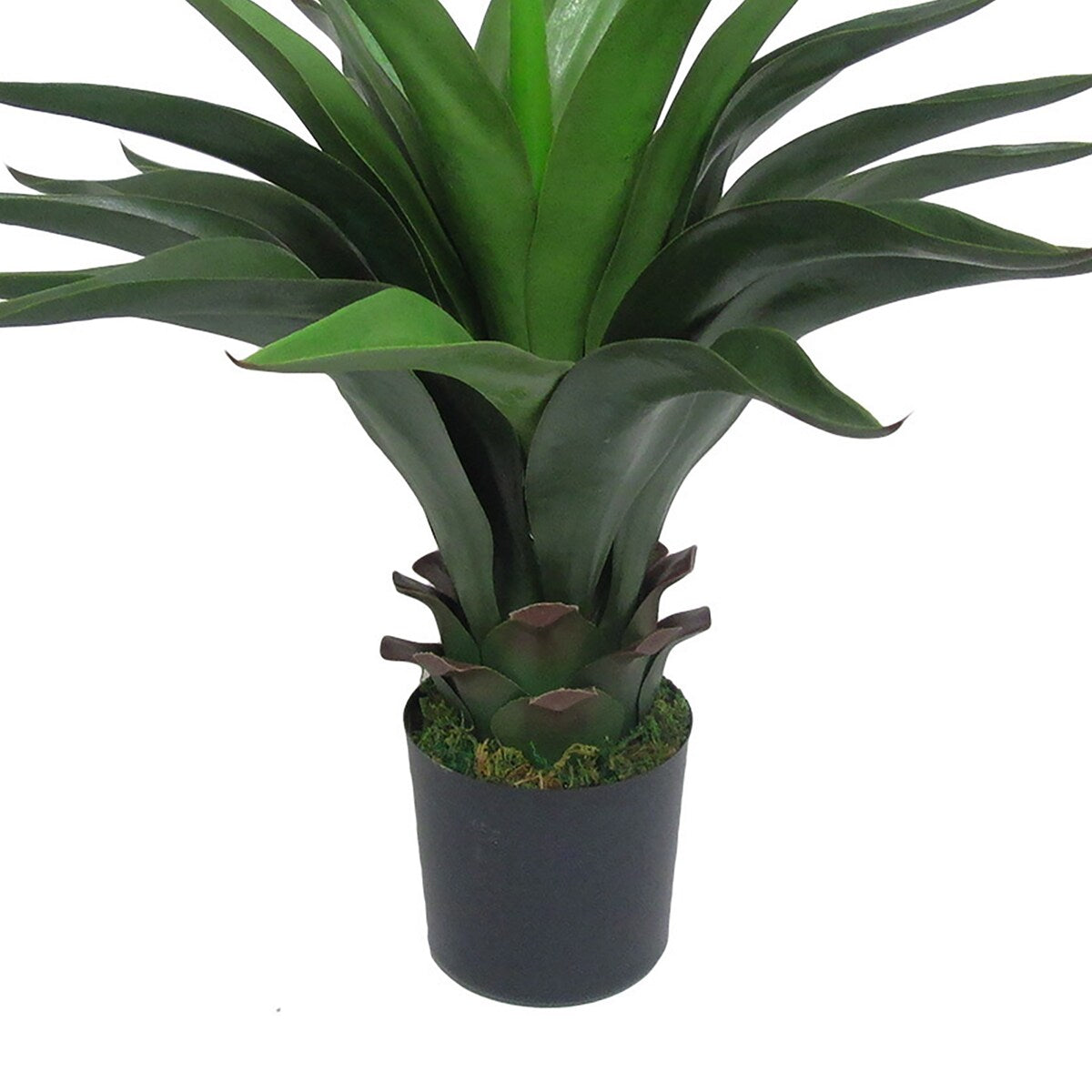 22in Artificial Agave Aloe Succulent Plant in Black Pot - 22" H x 25" W x 22" DP