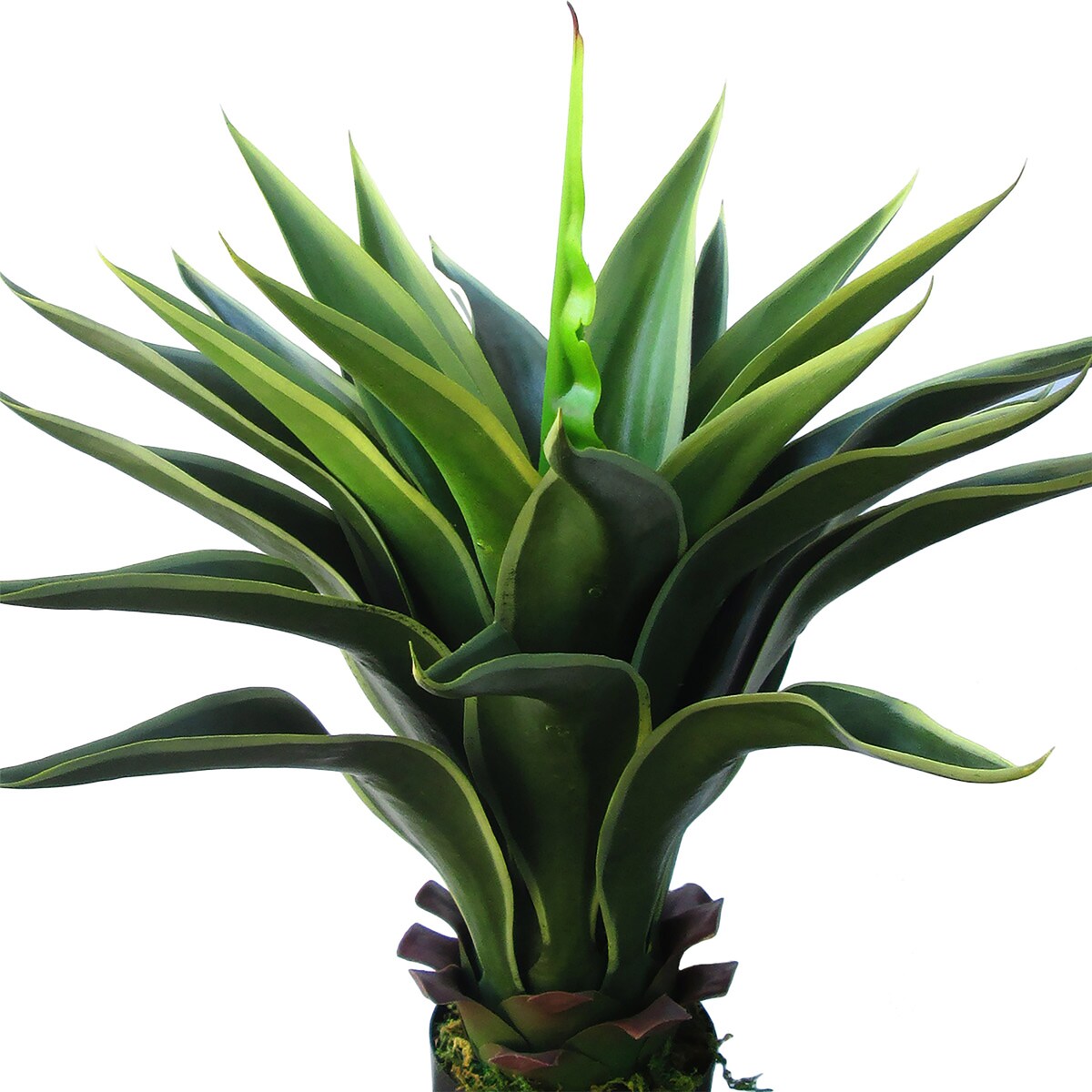 22in Green Yellow Artificial Agave Aloe Succulent Plant in Black Pot - 22" H x 25" W x 22" DP