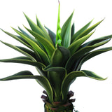 22in Green Yellow Artificial Agave Aloe Succulent Plant in Black Pot - 22" H x 25" W x 22" DP