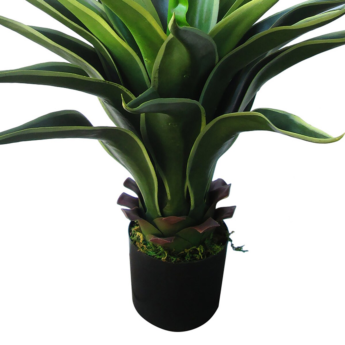 22in Green Yellow Artificial Agave Aloe Succulent Plant in Black Pot - 22" H x 25" W x 22" DP