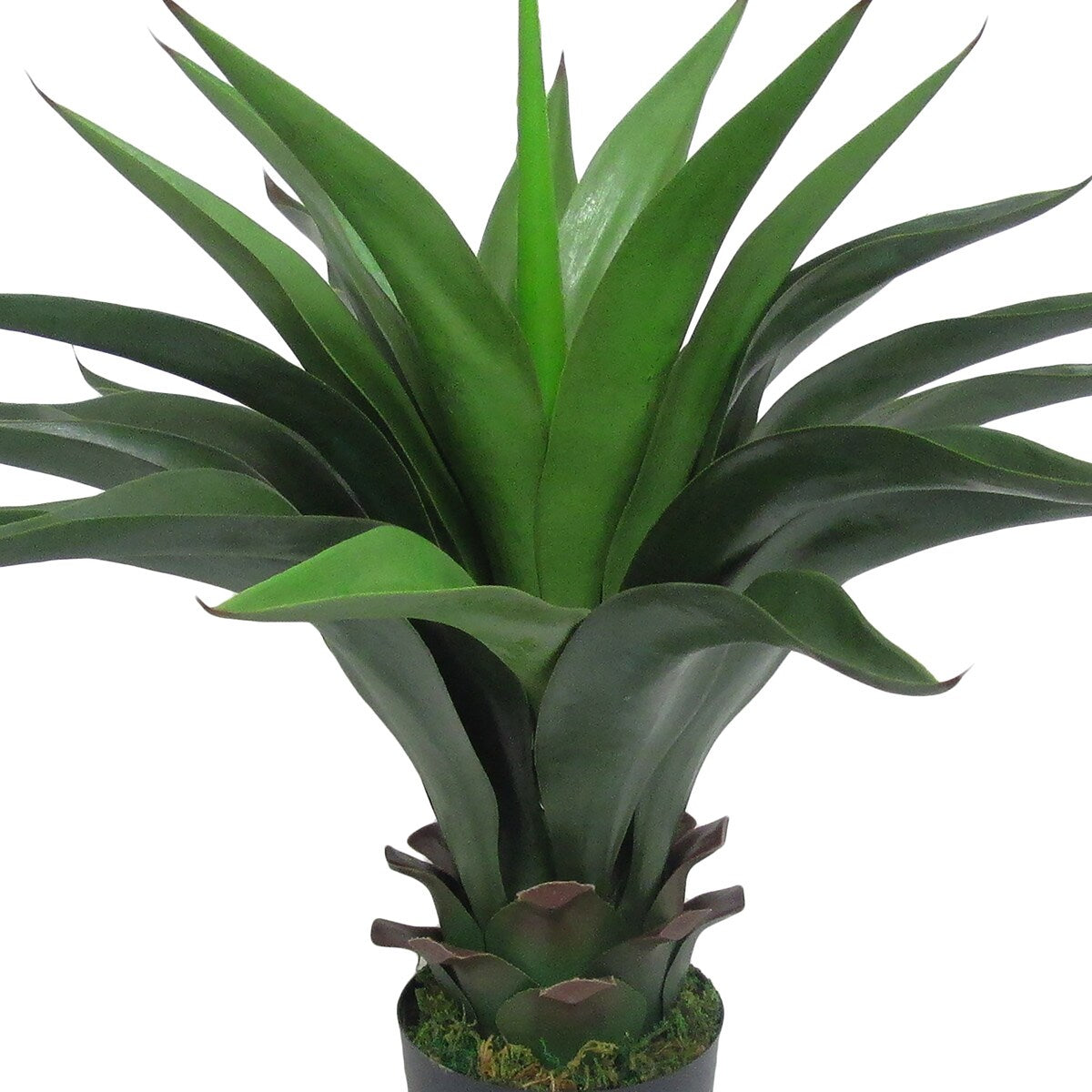 22in Artificial Agave Aloe Succulent Plant in Black Pot - 22" H x 25" W x 22" DP