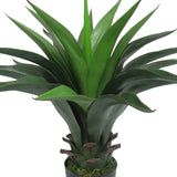 22in Artificial Agave Aloe Succulent Plant in Black Pot - 22" H x 25" W x 22" DP