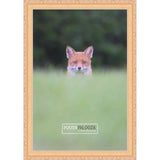 22x12 Traditional Gold Complete Wood Picture Frame with UV Acrylic, Foam Board Backing, & Hardware