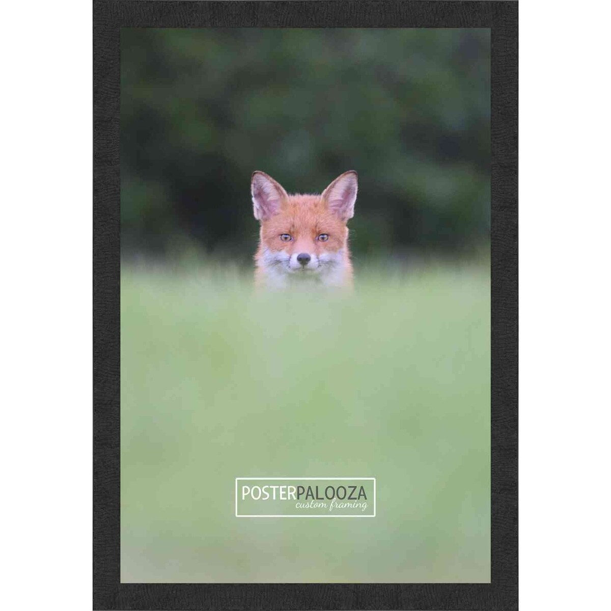 22x18 Traditional Black Complete Wood Picture Frame with UV Acrylic, Foam Board Backing, & Hardware