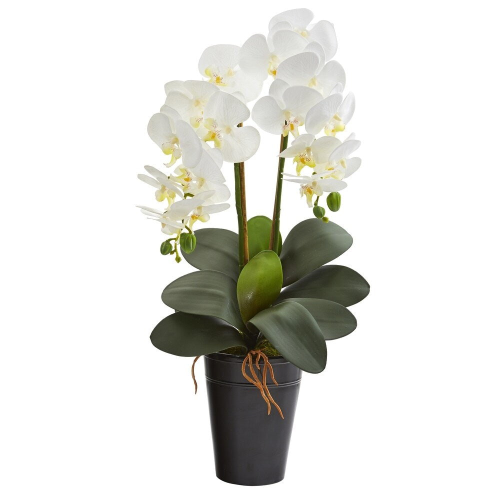 23" Double Phalaenopsis Orchid Artificial Arrangement in Vase