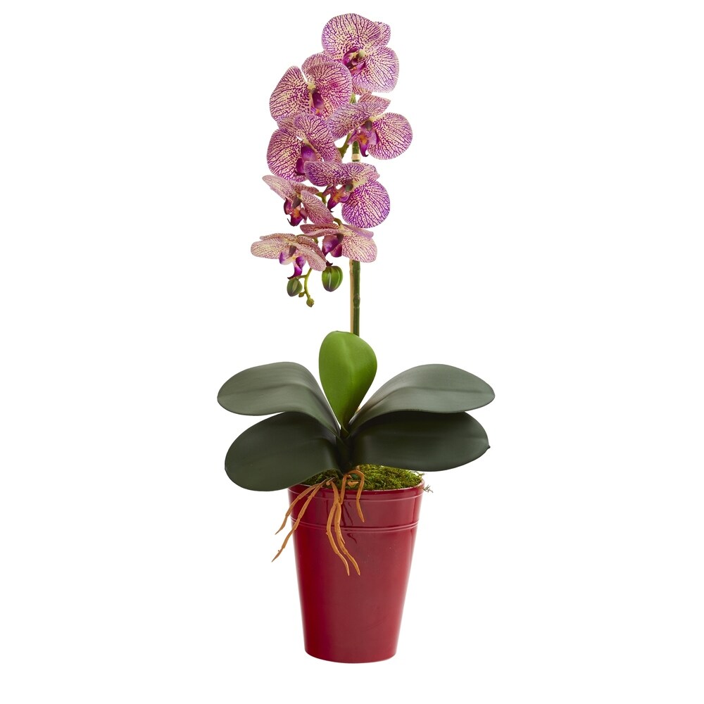 23" Phalaenopsis Orchid Artificial Arrangement in Vase