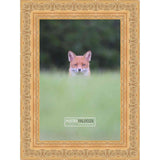 23x15 Ornate Gold Complete Wood Picture Frame with UV Acrylic, Foam Board Backing, & Hardware