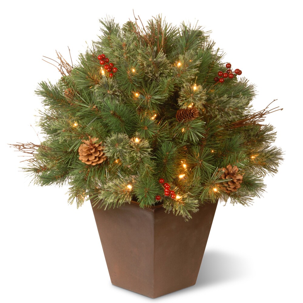 National Tree Company 2 ft. Glistening Pine Porch Bush with Clear Lights - Green