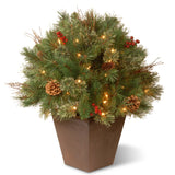 National Tree Company 2 ft. Glistening Pine Porch Bush with Clear Lights - Green