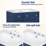 24-Inch Bathroom Vanity Cabinet with Ceramic Sink, 2 Drawers, 1 Door