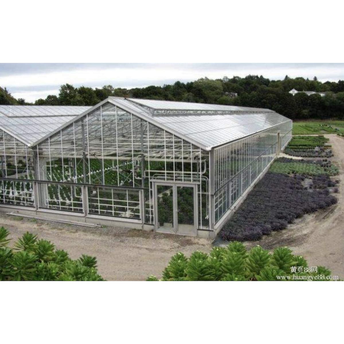 24 in. L x 48 in. W x 4 mm Thickness Corrugated Plastic Clear Twin Wall Roofing Panel - 36pc
