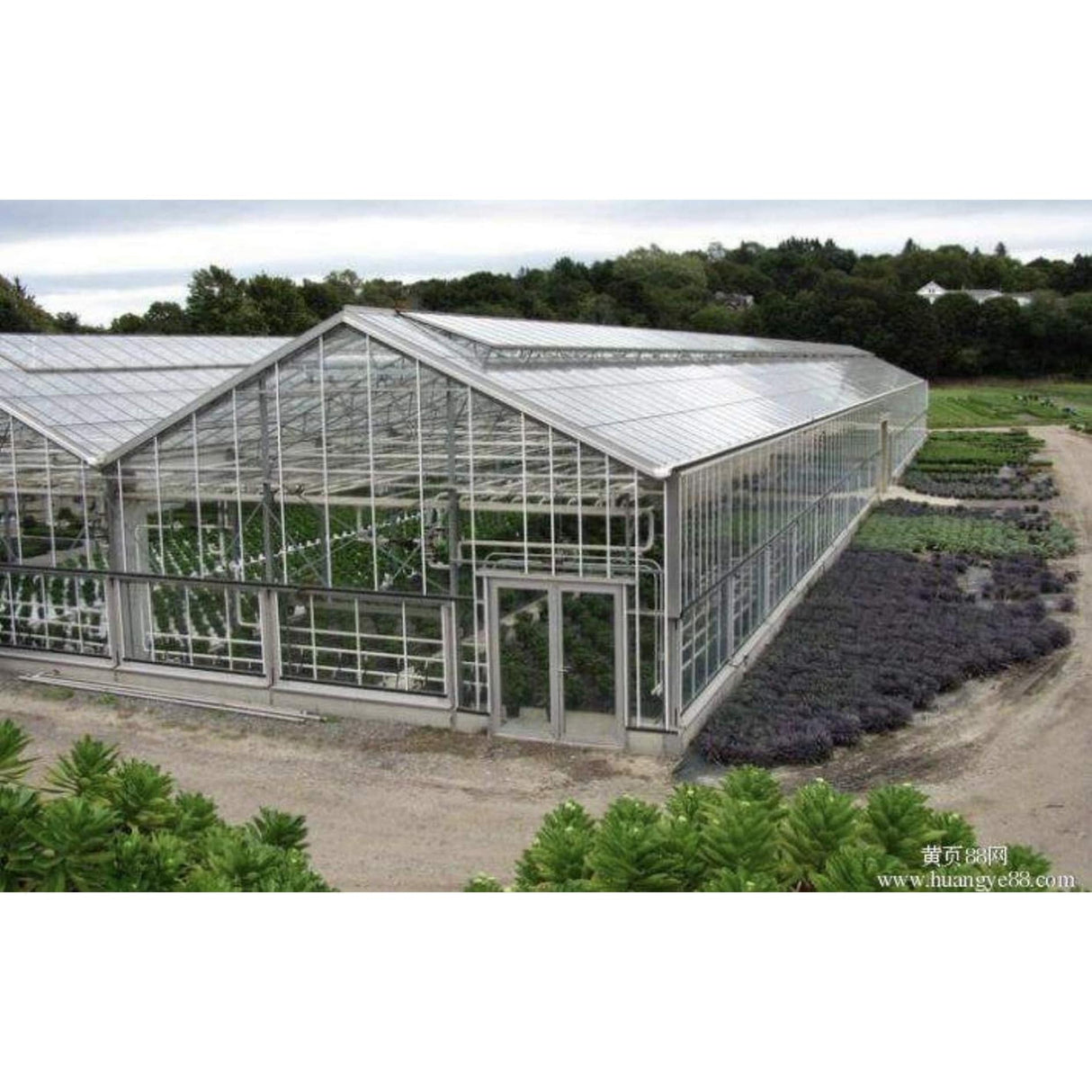24 in. L x 72 in. W x 8 mm Thickness Corrugated Plastic Clear Twin Wall Roofing Panel - 1pc