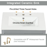 24 in. W x 33 in. H Solid Wood and MDF Bathroom Vanity with Ceramic Sink, Door and Drawers