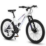 24 inch Mountain Bike with Dual Disc Brakes
