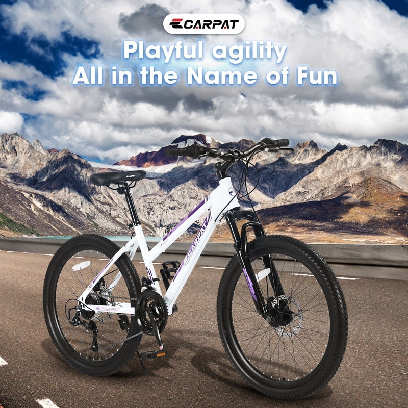 24 inch Mountain Bike with Dual Disc Brakes