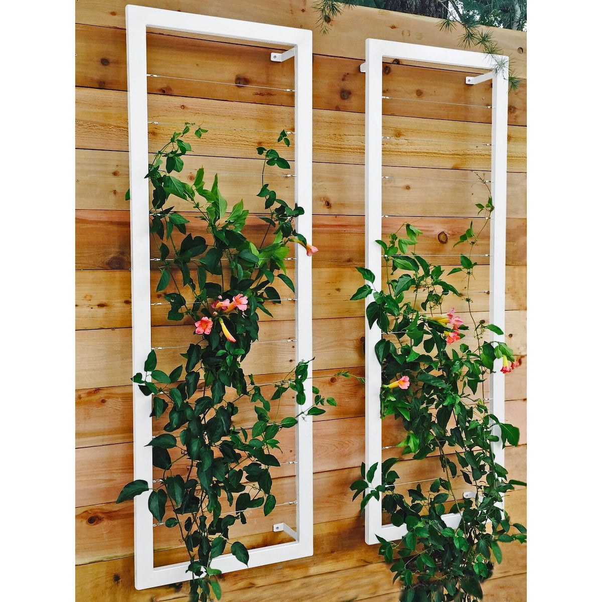 24'' H x 70'' W Wall Mounted Steel Lattice Panel Trellis - 2pc