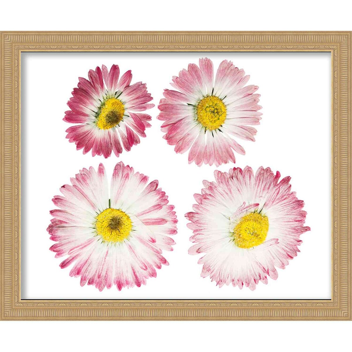 24x26 Gold Shadowbox Frame - Interior Size 24x26 by 1.5 In Deep - Gold Frame Is Made to Display Items Up To 1.5 In Deep