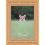 24x26 Traditional Gold Complete Wood Picture Frame with UV Acrylic, Foam Board Backing, & Hardware