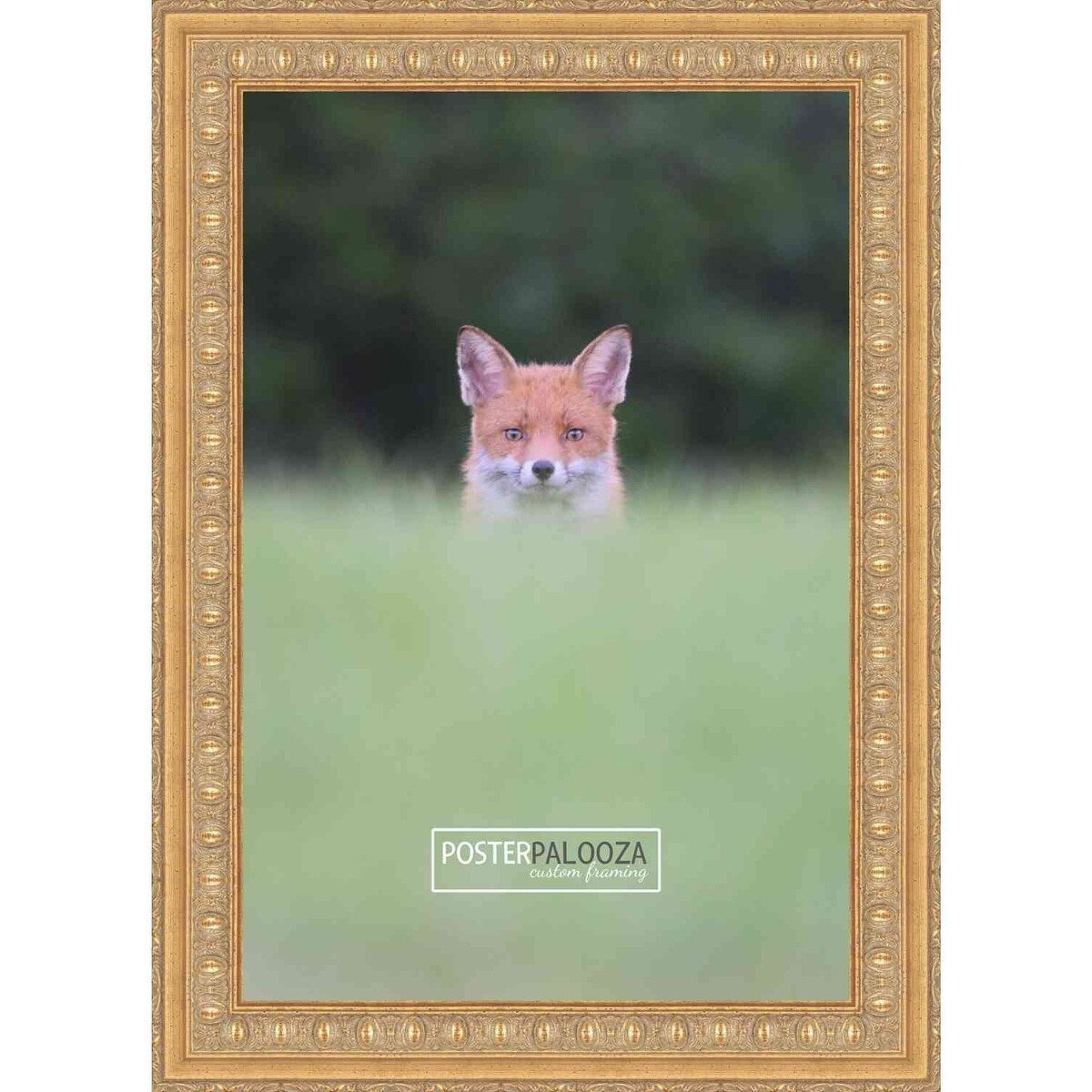 24x34 Traditional Gold Complete Wood Picture Frame with UV Acrylic, Foam Board Backing, & Hardware