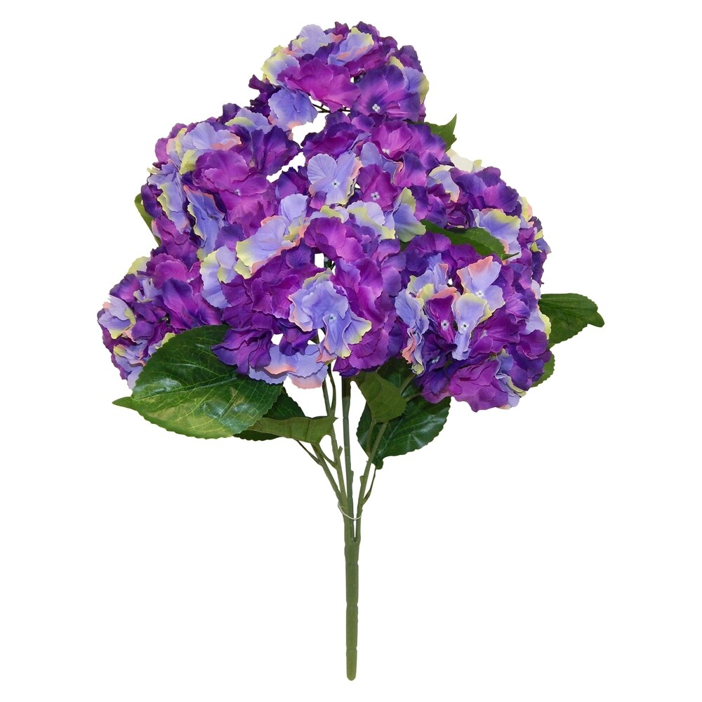 25" Jumbo hydrangea Bush x 9