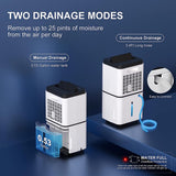 25 Pints Dehumidifier for Home with Water Tank and Drain Hose