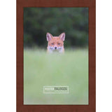 25x17 Traditional Cherry Complete Wood Picture Frame with UV Acrylic, Foam Board Backing, & Hardware