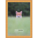 25x30 Traditional Gold Complete Wood Picture Frame with UV Acrylic, Foam Board Backing, & Hardware