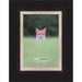 25x36 Traditional Complete Wood Picture Frame with UV Acrylic, Foam Board Backing, & Hardware