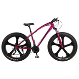 26-Inch 21-SpeedHigh-Carbon Steel Frame, Beach And Snow Fat Tire Mountain BIke