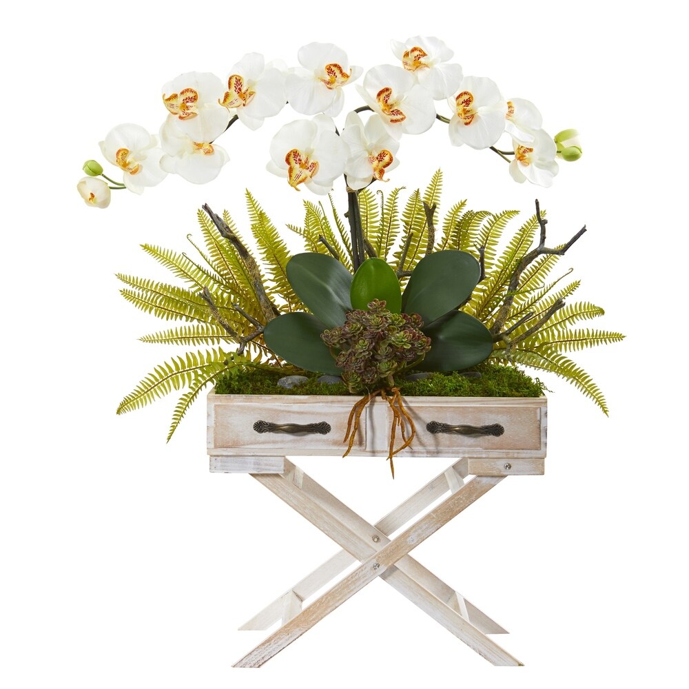 26" Phalaenopsis Orchid, Fern and Succulent Artificial Arrangement in Drawer Planter