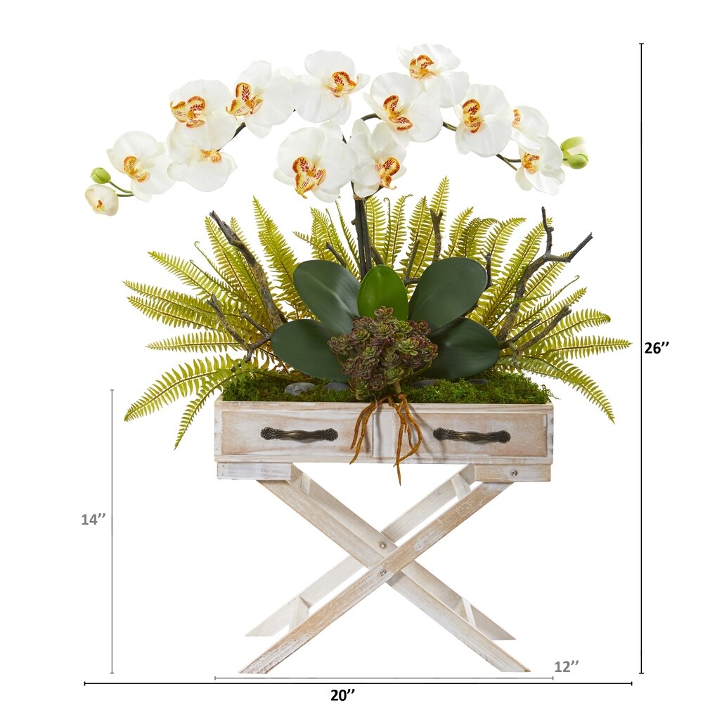 26" Phalaenopsis Orchid, Fern and Succulent Artificial Arrangement in Drawer Planter