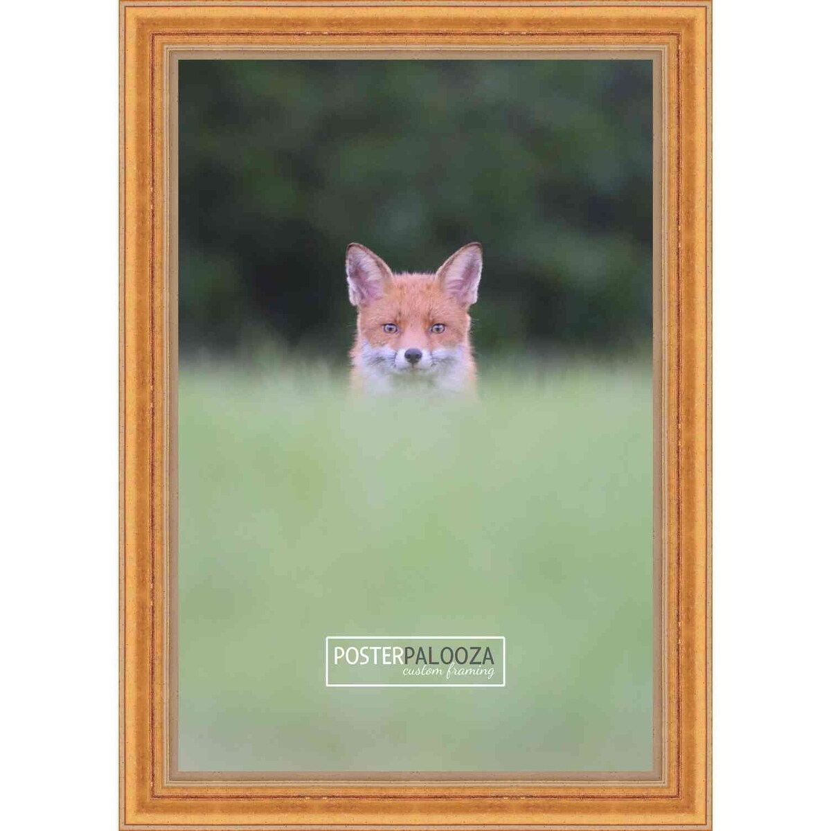 26x20 Traditional Antique Gold Complete Wood Picture Frame with UV Acrylic, Foam Board Backing, & Hardware