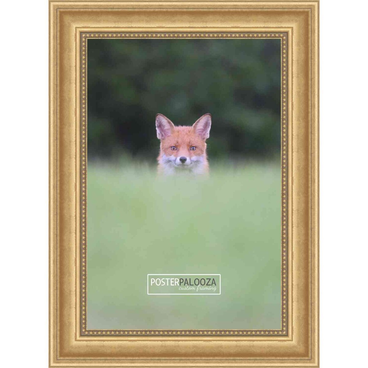 26x30 Traditional Gold Complete Wood Picture Frame with UV Acrylic, Foam Board Backing, & Hardware