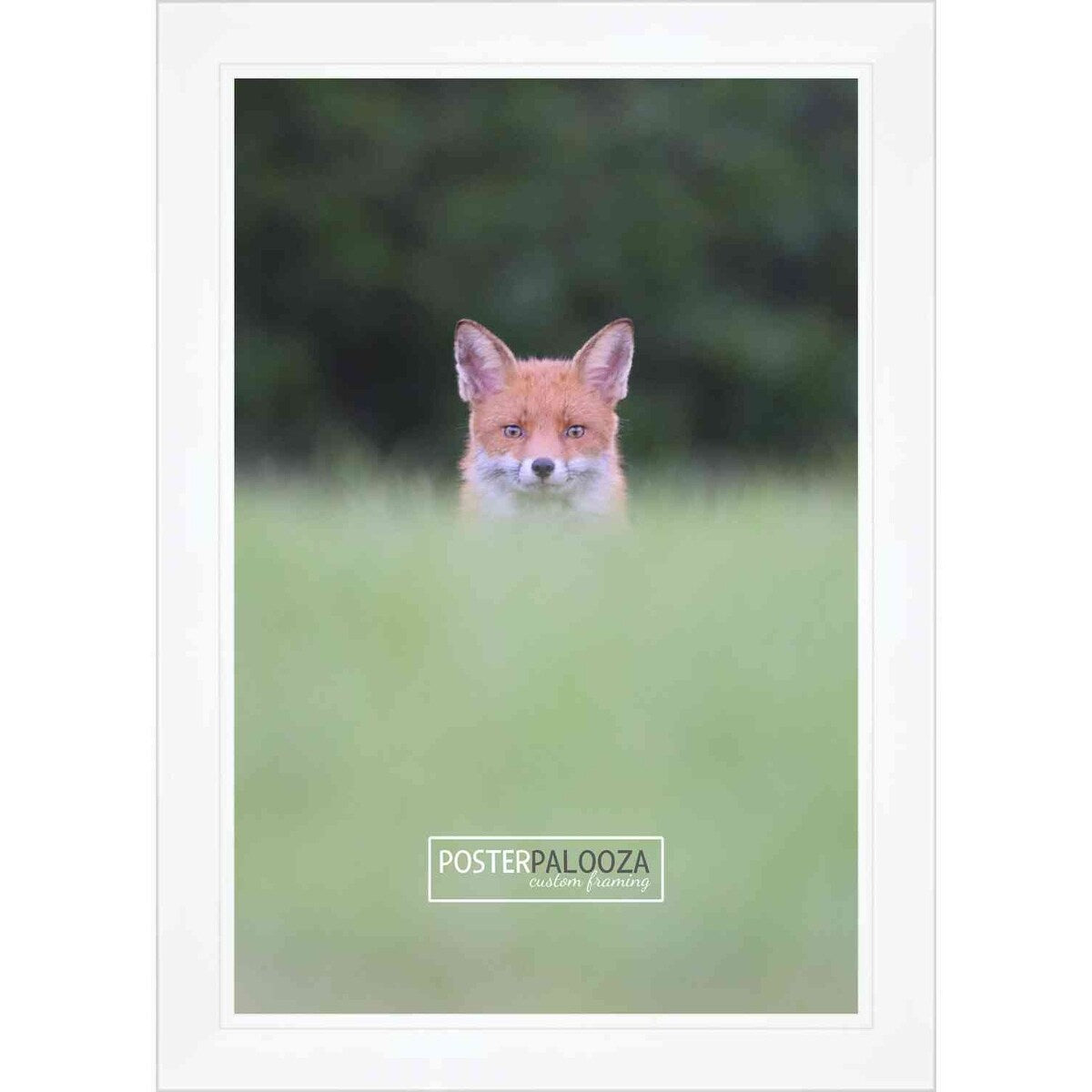 26x32 Lacquer White Complete Wood Picture Frame with UV Acrylic, Foam Board Backing, & Hardware