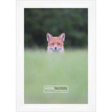 26x32 Lacquer White Complete Wood Picture Frame with UV Acrylic, Foam Board Backing, & Hardware