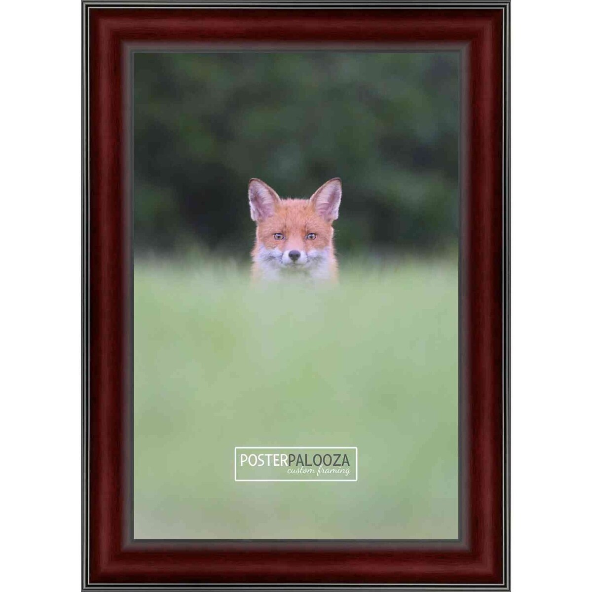 26x32 Traditional Mahogany Complete Wood Picture Frame with UV Acrylic, Foam Board Backing, & Hardware