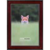 26x32 Traditional Mahogany Complete Wood Picture Frame with UV Acrylic, Foam Board Backing, & Hardware