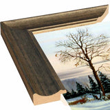 27-THOLIN51992 Print 8.75"x11.25" by Thomas Linker