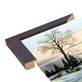 27-THOLIN51992 Print 8.75"x11.25" by Thomas Linker