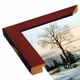 27-THOLIN51992 Print 8.75"x11.25" by Thomas Linker