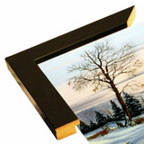27-THOLIN51992 Print 8.75"x11.25" by Thomas Linker